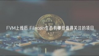 FVM上线后 Filbcoin生态有哪些值得关注的项目