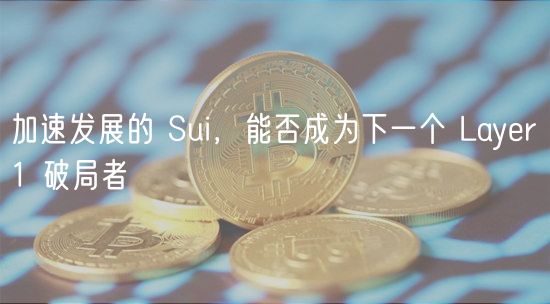 加速发展的 Sui，能否成为下一个 Layr 1 破局者