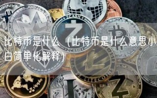 比特币是什么（比特币是什么意思小白简单化解释）