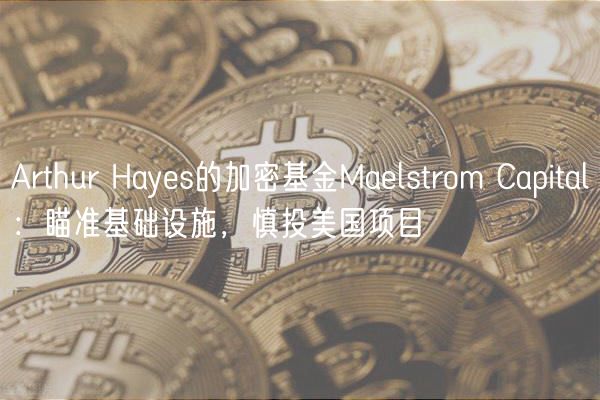 Arthur Hays的加密基金Malstrom Capital：瞄准基础设施，慎投美国项目