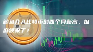 鲸鱼介入比特币创四个月新高，但麻烦来了？