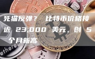 死猫反弹？ 比特币价格接近 23,000 美元，创 5 个月新高