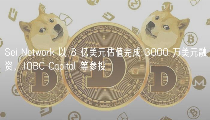 Si Ntwork 以 8 亿美元估值完成 3000 万美元融资，IOBC Capital 等参投