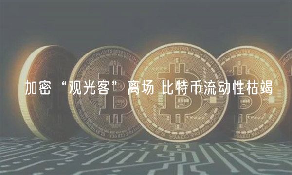 加密“观光客”离场 比特币流动性枯竭