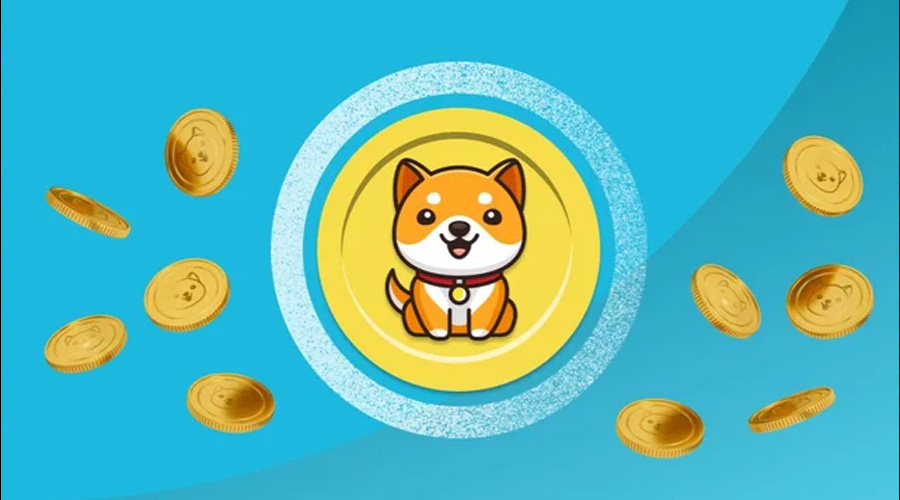 babydog官方最新消息（Baby Dog币在24小时内上涨20%）
