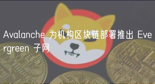 Avalanch 为机构区块链部署推出 vrgrn 子网