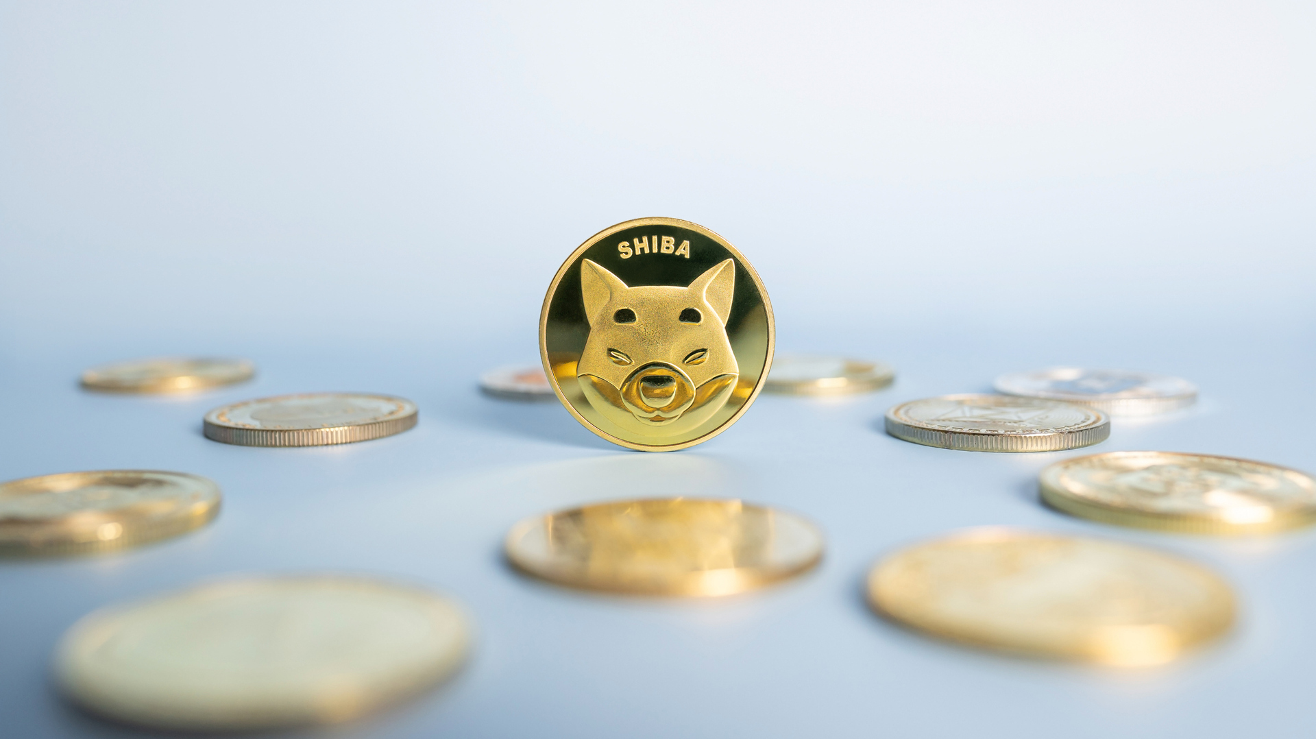 SHIB币最新价格预测（柴犬鲸鱼买入3.48万亿SHIB，这对SHIB将会产生哪些影响）