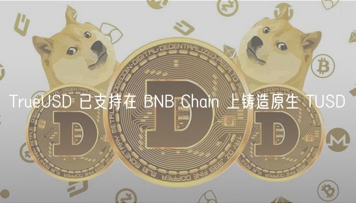 TruUSD 已支持在 BNB Chain 上铸造原生 TUSD