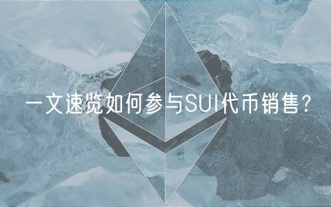 一文速览如何参与SUI代币销售？