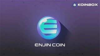 BNJ币是什么币？BNJ币详情