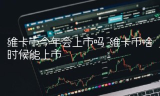 维卡币今年会上市吗