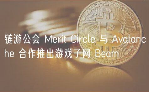 链游公会 Mrit Circl 与 Avalanch 合作推出游戏子网 Bam