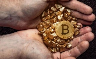 dot币未来5年多少钱一枚(dot币最低价格)