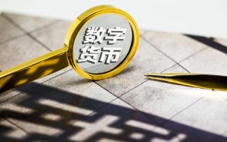 中本聪币价值(中本聪币怎么卖)