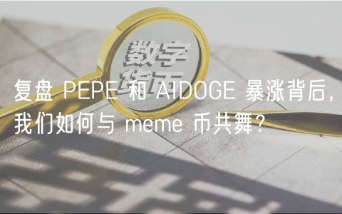 复盘 PP 和 AIDOG 暴涨背后，我们如何与 mm 币共舞？