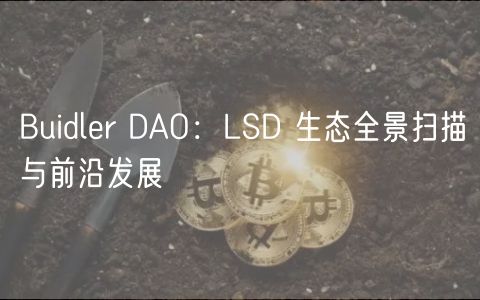 Buidlr DAO：LSD 生态全景扫描与前沿发展