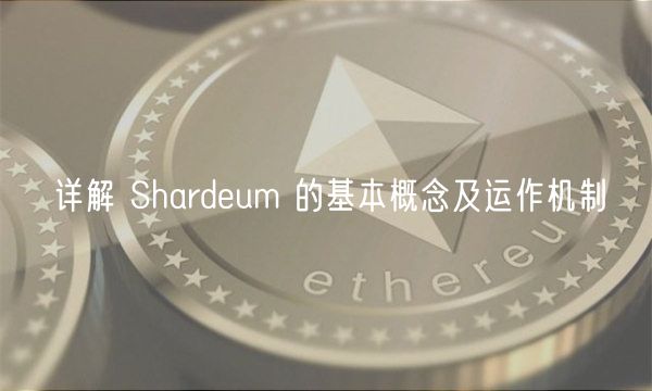 详解 Shardum 的基本概念及运作机制
