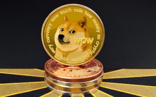 柴犬币为什么大涨(柴犬币会不会涨价)