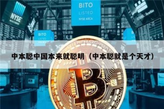中本聪中国本来就聪明（中本聪就是个天才）