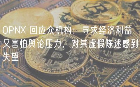 OPN 回应众机构：寻求经济利益又害怕舆论压力，对其虚假陈述感到失望
