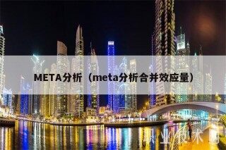 MBTA分析（mbta分析合并效应量）