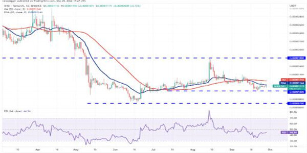 SHIB最新价格是多少 屎币今日最新行情-第3张图片-欧意下载