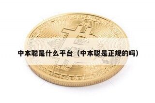 中本聪是什么平台（中本聪是正规的吗）