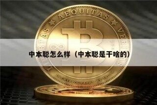 中本聪怎么样（中本聪是干啥的）