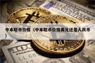 中本聪币价格（中本聪币价格美元还是人民币）