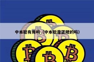 中本聪有用吗（中本聪是正规的吗）