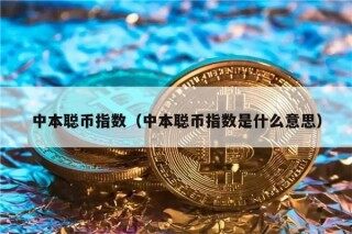 中本聪币指数（中本聪币指数是什么意思）