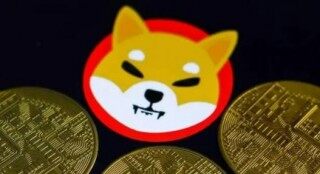 屎币2022年能涨到多少(屎币一年涨了多少)