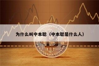 为什么叫中本聪（中本聪是什么人）