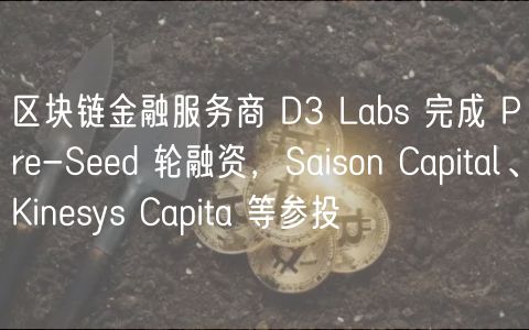 区块链金融服务商 D3 Labs 完成 Pr-Sd 轮融资，Saison Capital、Kinsys Capita 等参投