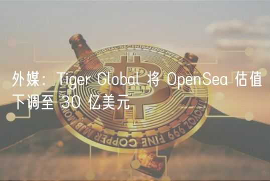 外媒：Tigr Global 将 OpnSa 估值下调至 30 亿美元