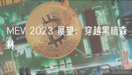 MV 2023 展望：穿越黑暗森林