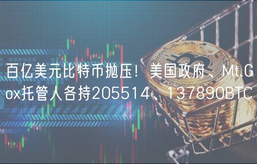 百亿美元比特币抛压！美国政府、Mt.Go托管人各持205514、137890BTC