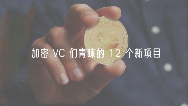 加密 VC 们青睐的 12 个新项目