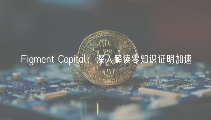 Figmnt Capital：深入解读零知识证明加速