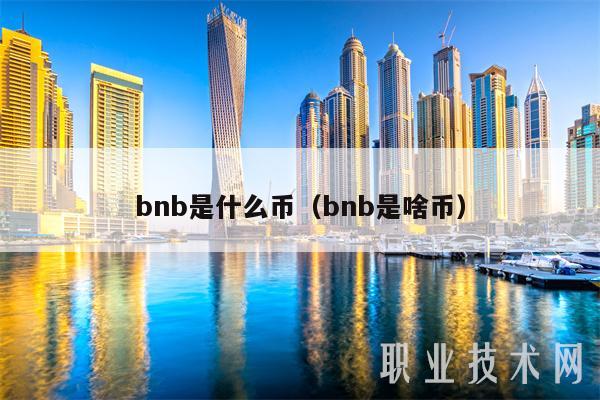 bnb是什么币（bnb是啥币-第1张图片-欧意下载