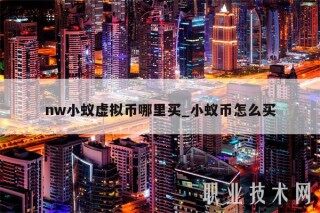 nw小蚁虚拟币哪里买_小蚁币怎么买