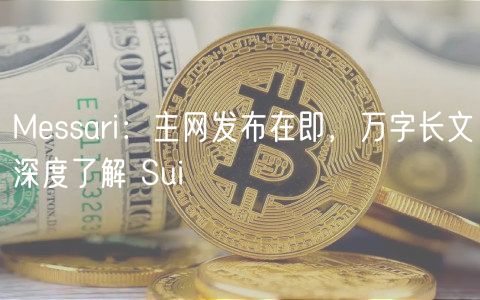 Mssari：主网发布在即，万字长文深度了解 Sui