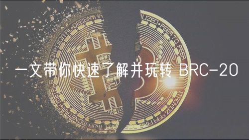一文带你快速了解并玩转 BRC-20