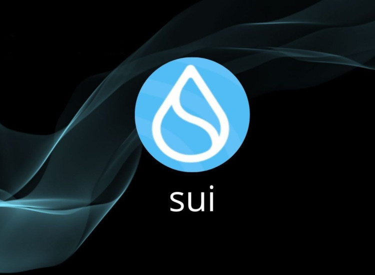 SUI 第 2 天获空头介绍 卖压会持续吗