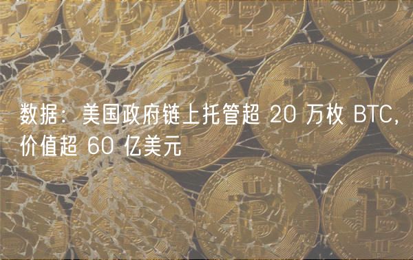 数据：美国政府链上托管超 20 万枚 BTC，价值超 60 亿美元
