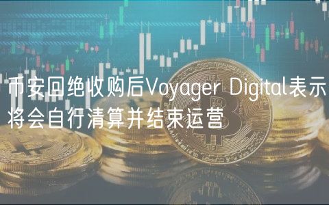 币安回绝收购后Voyagr Digital表示将会自行清算并结束运营