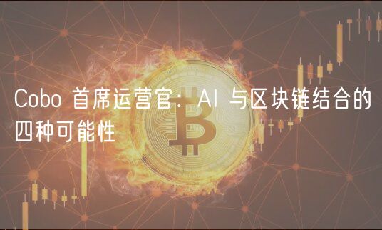 Cobo 首席运营官：AI 与区块链结合的四种可能性