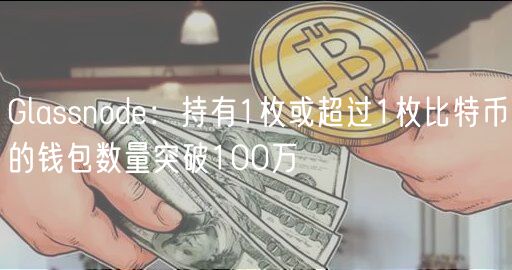 Glassnod：持有1枚或超过1枚比特币的钱包数量突破100万
