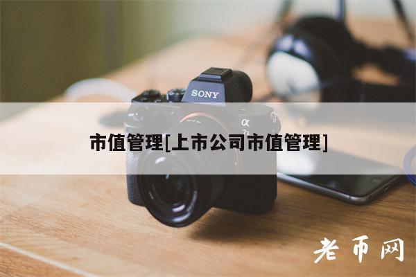 市值管理[上市公司市值管理]-第1张图片-欧意下载