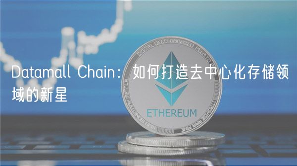Datamall Chain：如何打造去中心化存储领域的新星